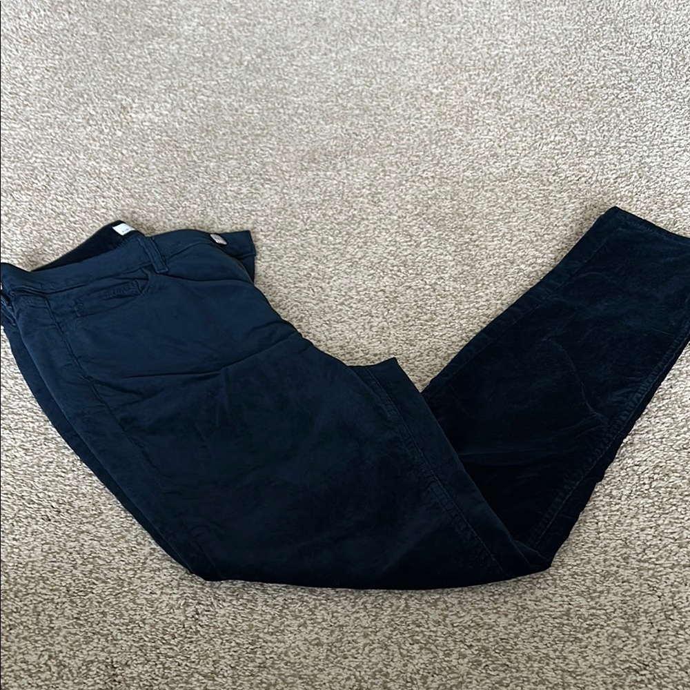 The Loft Dark Blue velour Pants
